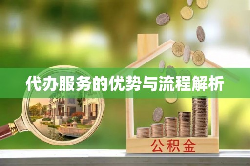 镇安代办服务的优势与流程解析