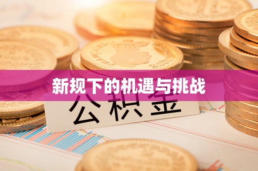 镇安新规下的机遇与挑战