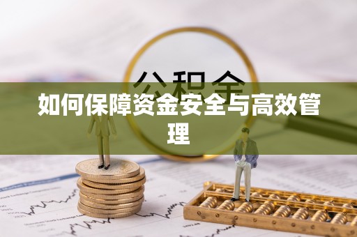镇安如何保障资金安全与高效管理