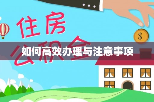 镇安如何高效办理与注意事项