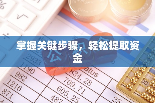 镇安掌握关键步骤，轻松提取资金