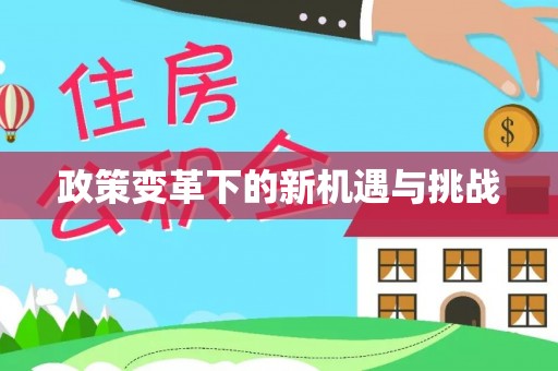 镇安政策变革下的新机遇与挑战