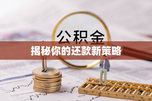 镇安揭秘你的还款新策略