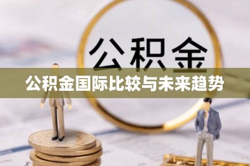 镇安公积金国际比较与未来趋势