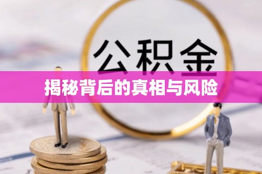 镇安揭秘背后的真相与风险