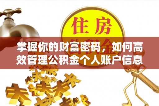 镇安掌握你的财富密码，如何高效管理公积金个人账户信息