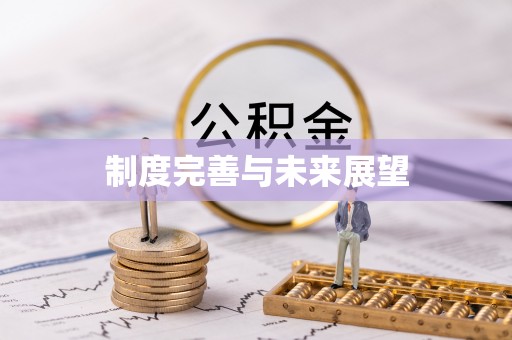 镇安制度完善与未来展望