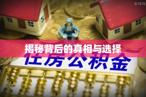 镇安揭秘背后的真相与选择