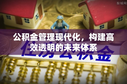 镇安公积金管理现代化，构建高效透明的未来体系