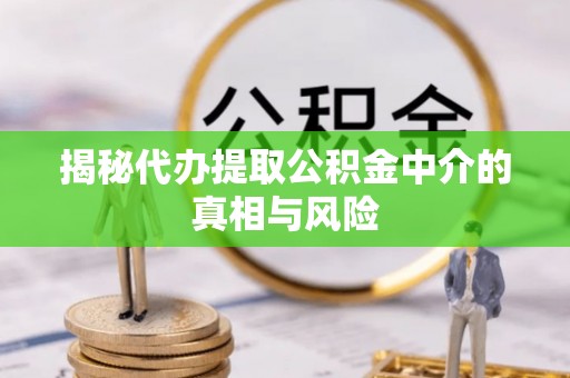 镇安揭秘代办提取公积金中介的真相与风险