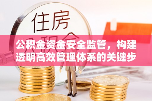 镇安公积金资金安全监管，构建透明高效管理体系的关键步骤