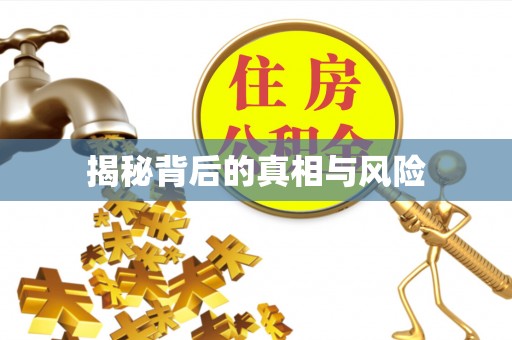 镇安揭秘背后的真相与风险