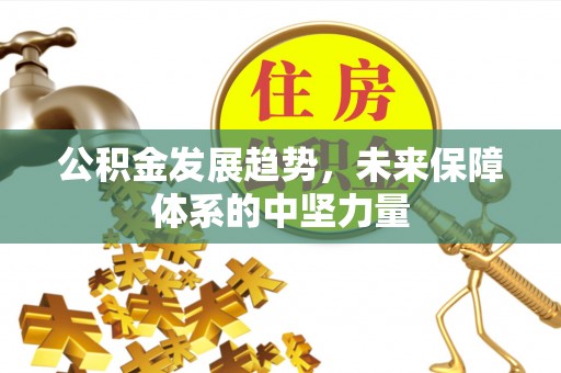 镇安公积金发展趋势，未来保障体系的中坚力量