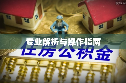 镇安专业解析与操作指南