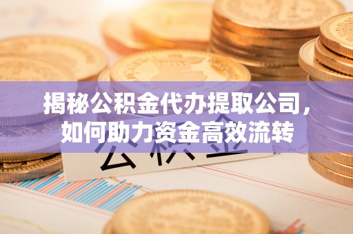 镇安揭秘公积金代办提取公司，如何助力资金高效流转