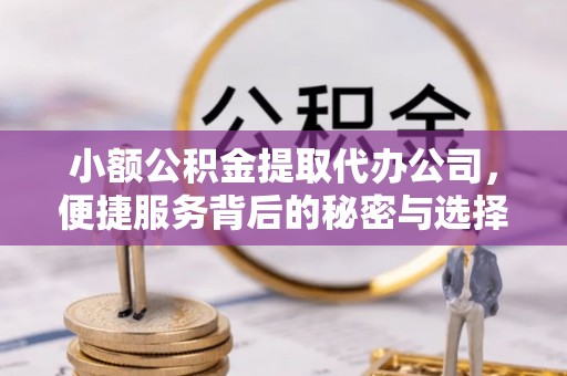 镇安小额公积金提取代办公司，便捷服务背后的秘密与选择指南