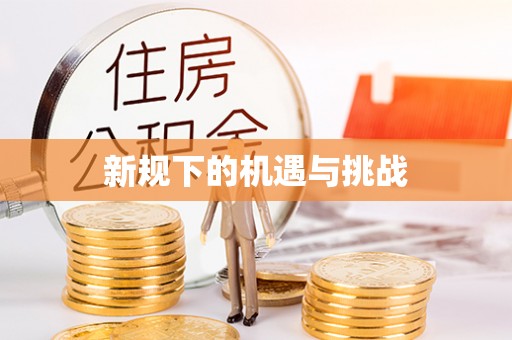 镇安新规下的机遇与挑战