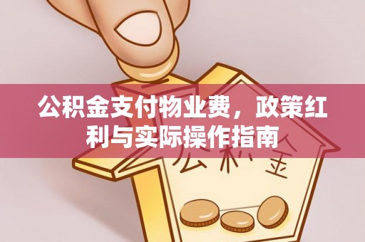 镇安公积金支付物业费，政策红利与实际操作指南