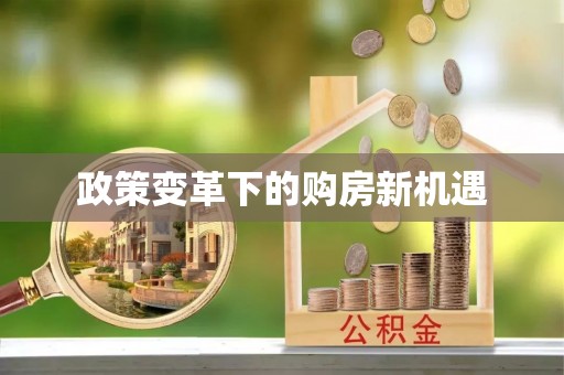 镇安政策变革下的购房新机遇