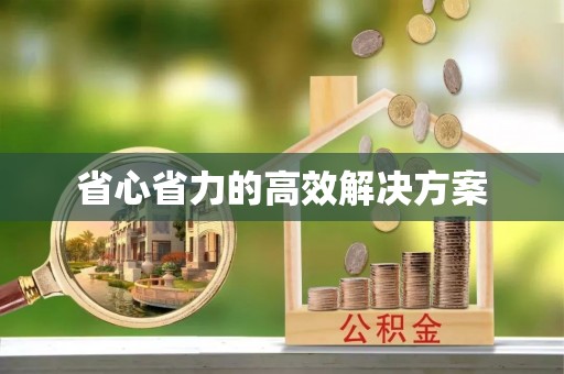 镇安省心省力的高效解决方案