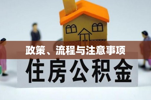 镇安政策、流程与注意事项