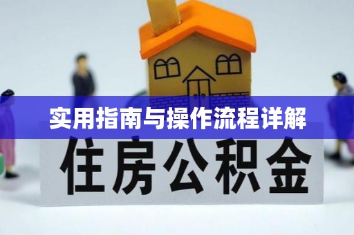 镇安实用指南与操作流程详解