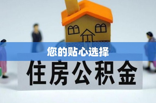 镇安您的贴心选择
