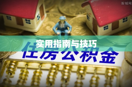 镇安实用指南与技巧