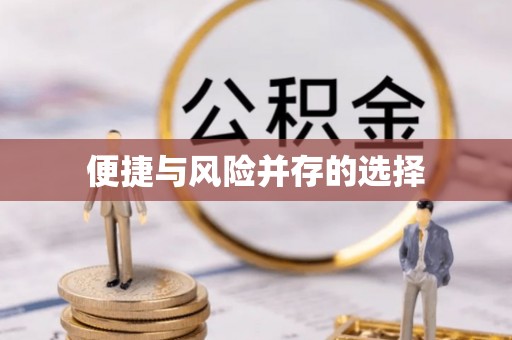镇安便捷与风险并存的选择