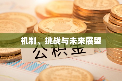 镇安机制、挑战与未来展望