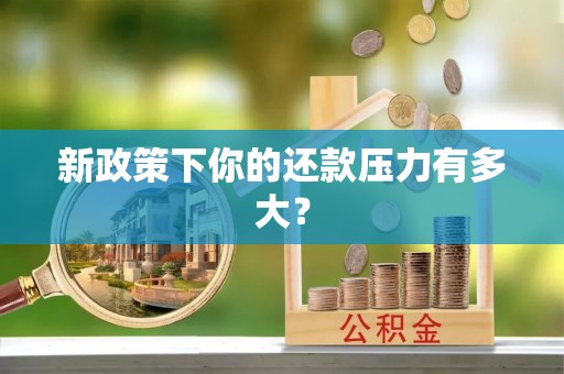 镇安新政策下你的还款压力有多大？