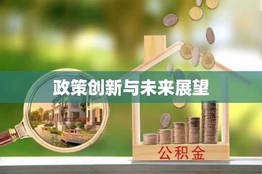 镇安政策创新与未来展望