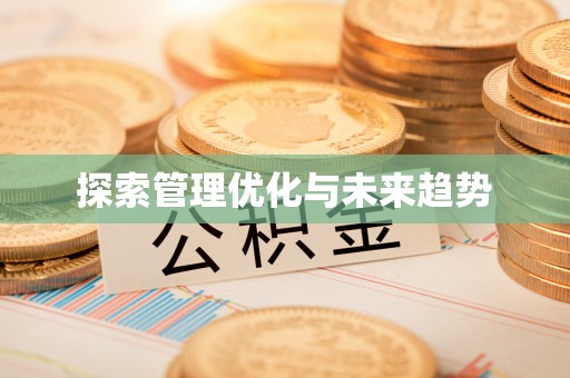 镇安探索管理优化与未来趋势
